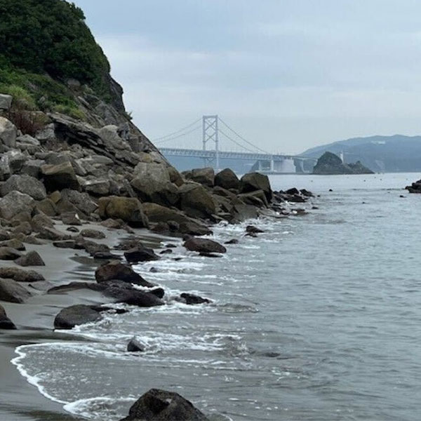 網干島駐車場付近・岩場