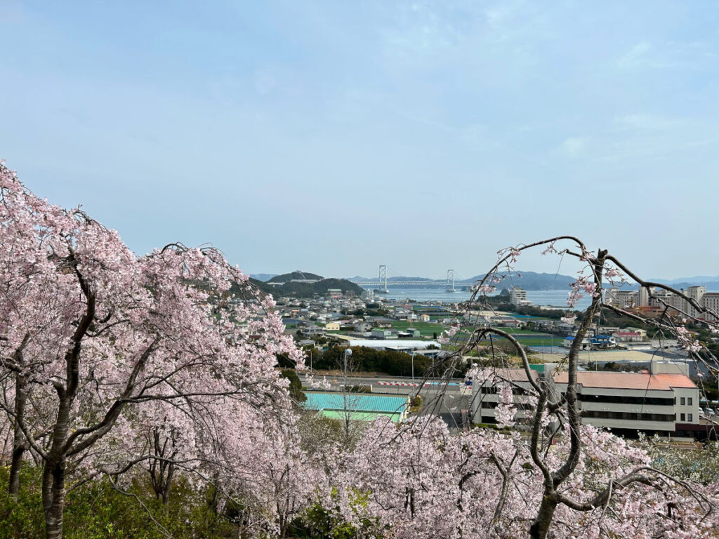 徳島県鳴門　花見山　山頂展望台